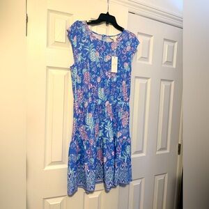 Lilly pulitzer Danville dress. Bnwt. Large